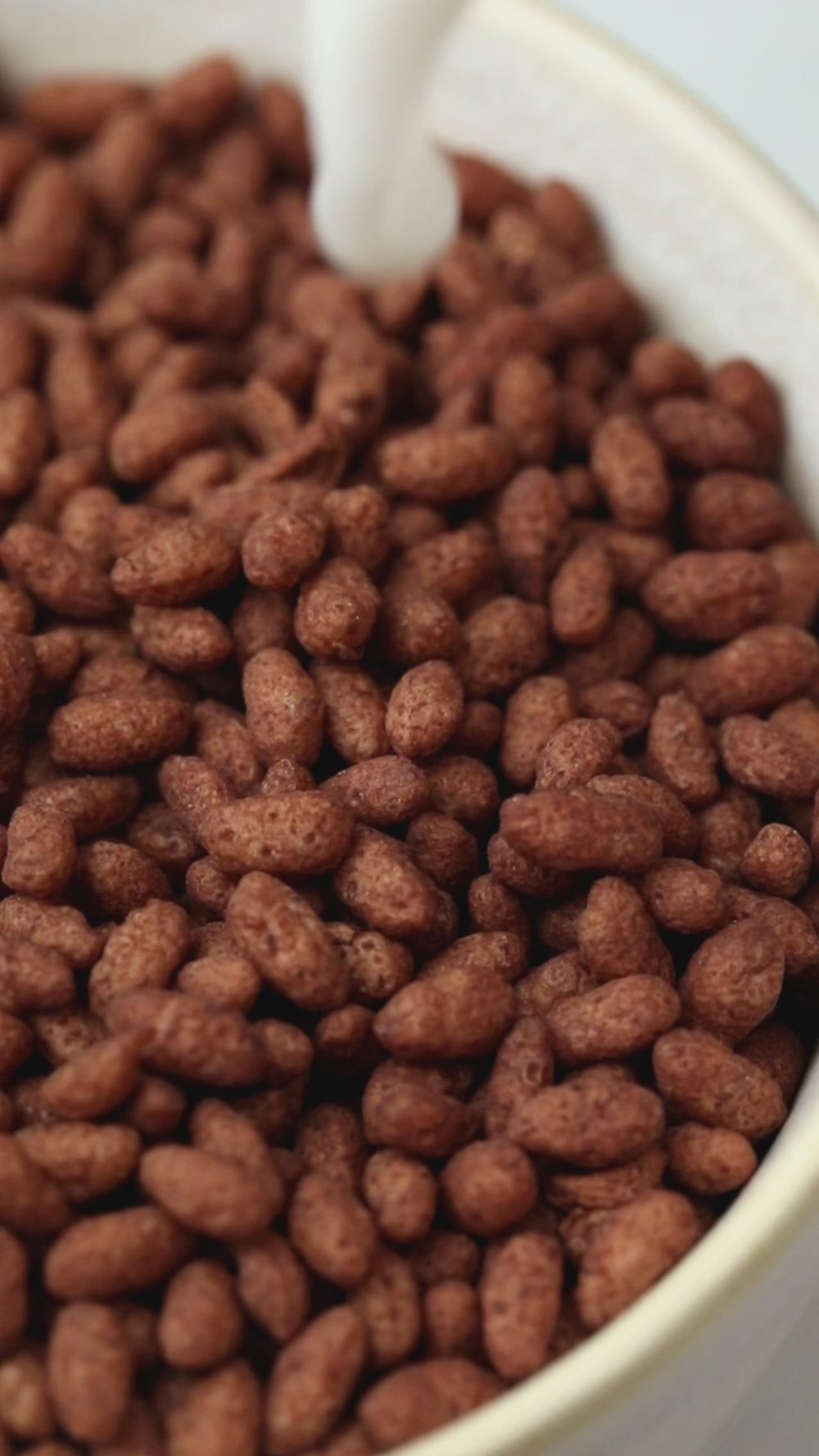 Les POP • Cacao