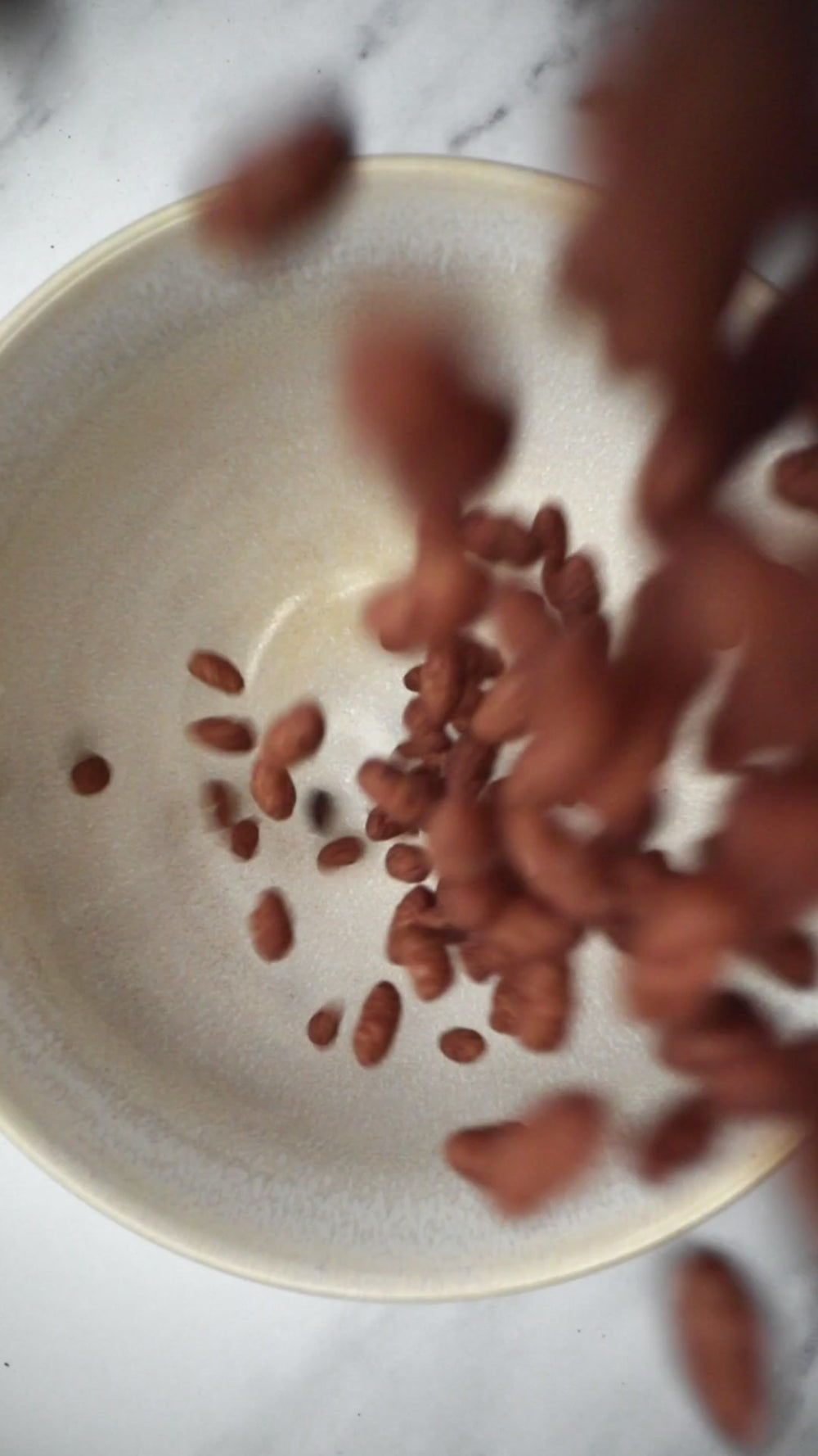Les POP • Cacao